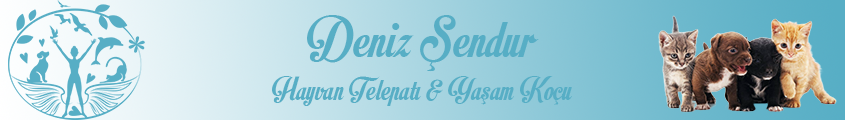 Deniz-1